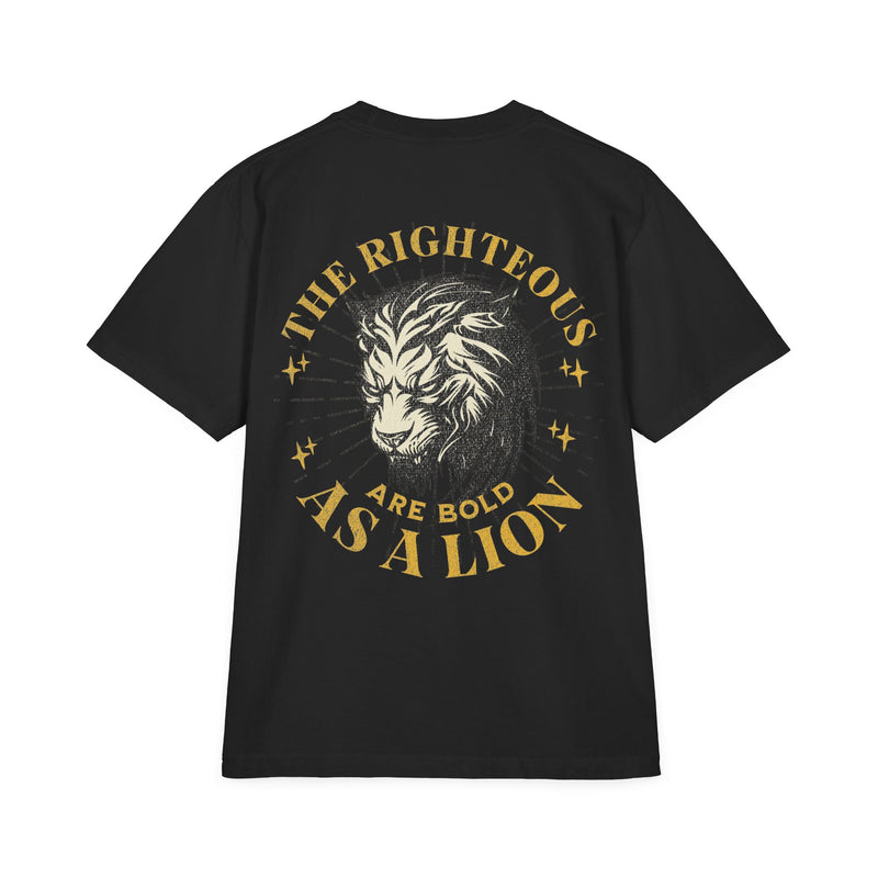 AD23 "Bold As A Lion" Pump Cover - Originals Collection